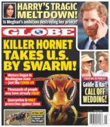 Globe May 25, 2020 Issue Cover