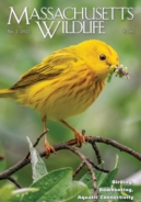 Massachusetts-Wildlife June 01, 2022 Issue Cover