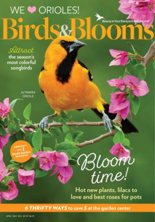 Birds Blooms Magazine Subscription
