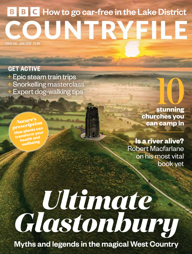 BBC-Countryfile June 01, 2025 Issue Cover