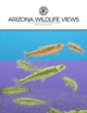 Arizona-Wildlife-Views July 01, 2024 Issue Cover
