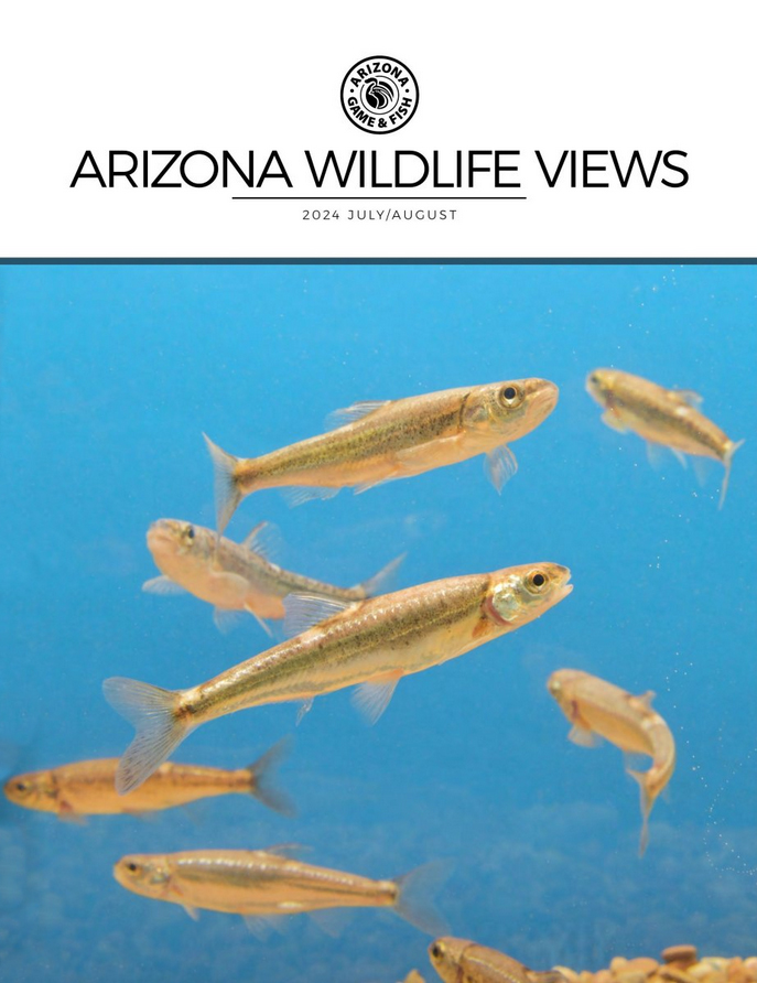 Arizona Wildlife Views July 01, 2024 Issue Cover