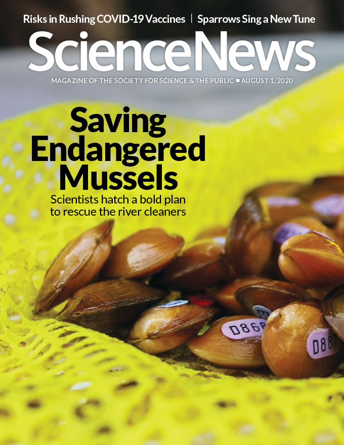 Science-News August 01, 2020 Issue Cover