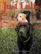 Just-Labs September 01, 2023 Issue Cover