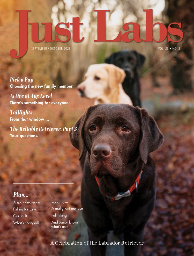 Just-Labs September 01, 2023 Issue Cover