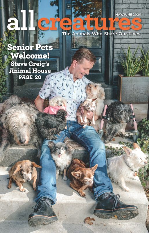 All-Creatures May 01, 2020 Issue Cover
