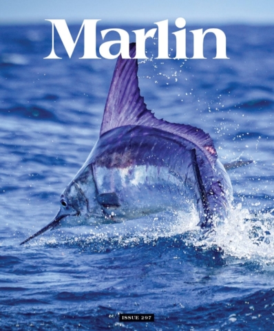 Marlin September 01, 2026 Issue Cover