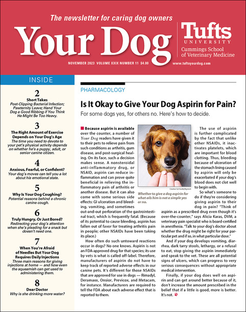 Your-Dog November 01, 2023 Issue Cover