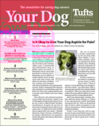 Your-Dog November 01, 2023 Issue Cover