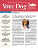 Your Dog November 01, 2023 Issue Cover