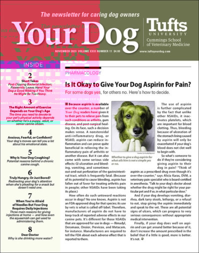 Your Dog November 01, 2023 Issue Cover