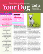 Your-Dog September 01, 2021 Issue Cover