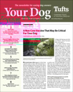 Your-Dog January 01, 2023 Issue Cover