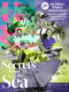Us-Weekly October 06, 2025 Issue Cover