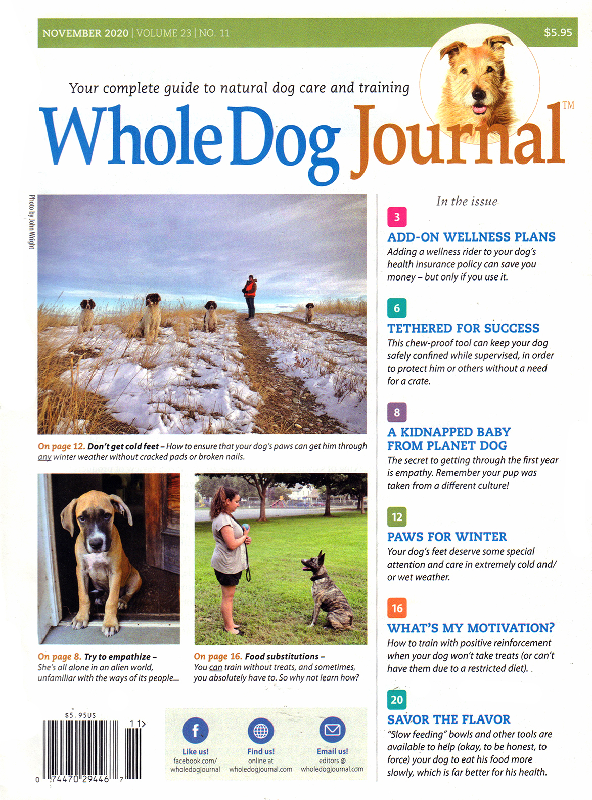 Whole-Dog-Journal November 01, 2020 Issue Cover