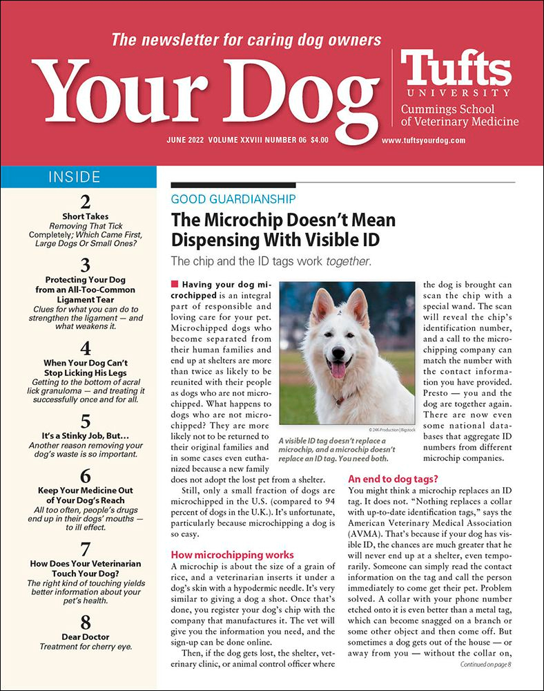 Your-Dog June 01, 2022 Issue Cover
