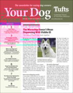 Your-Dog June 01, 2022 Issue Cover