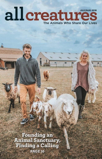 All Creatures July 01, 2018 Issue Cover