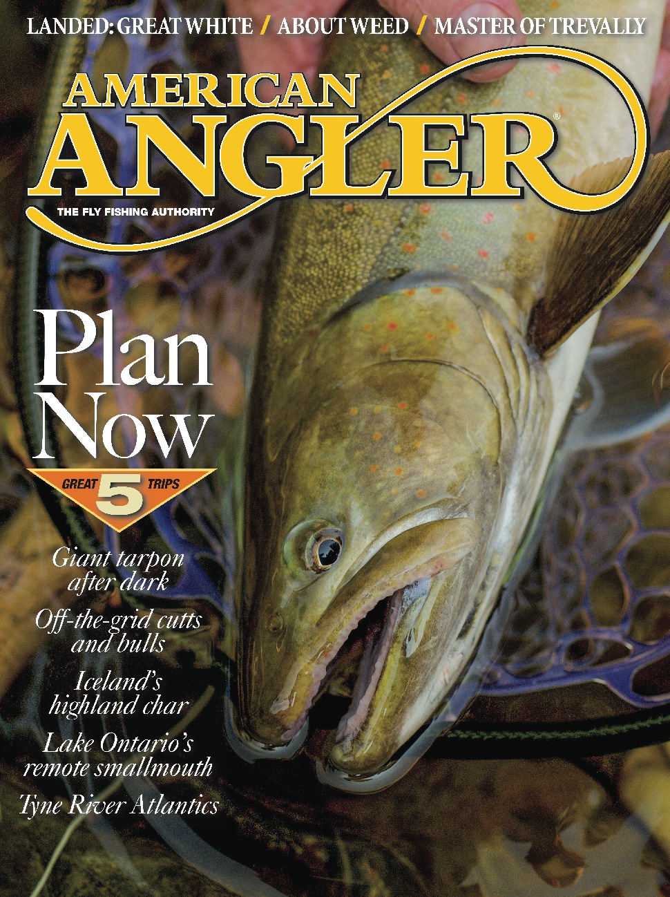 American-Angler November 01, 2018 Issue Cover