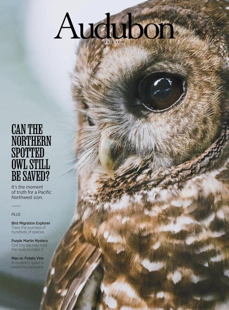 Audubon September 01, 2022 Issue Cover