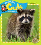 Ranger-Rick-Cub June 01, 2018 Issue Cover