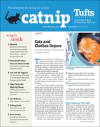 Catnip August 01, 2021 Issue Cover