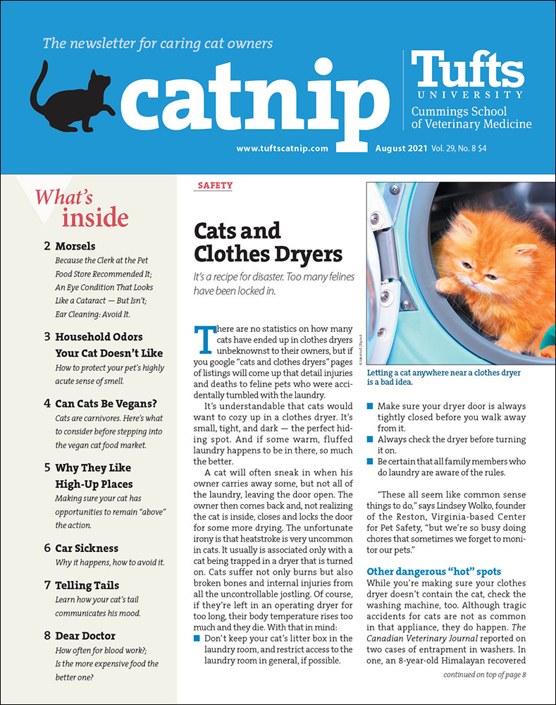 Catnip August 01, 2021 Issue Cover