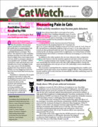 Catwatch July 01, 2020 Issue Cover