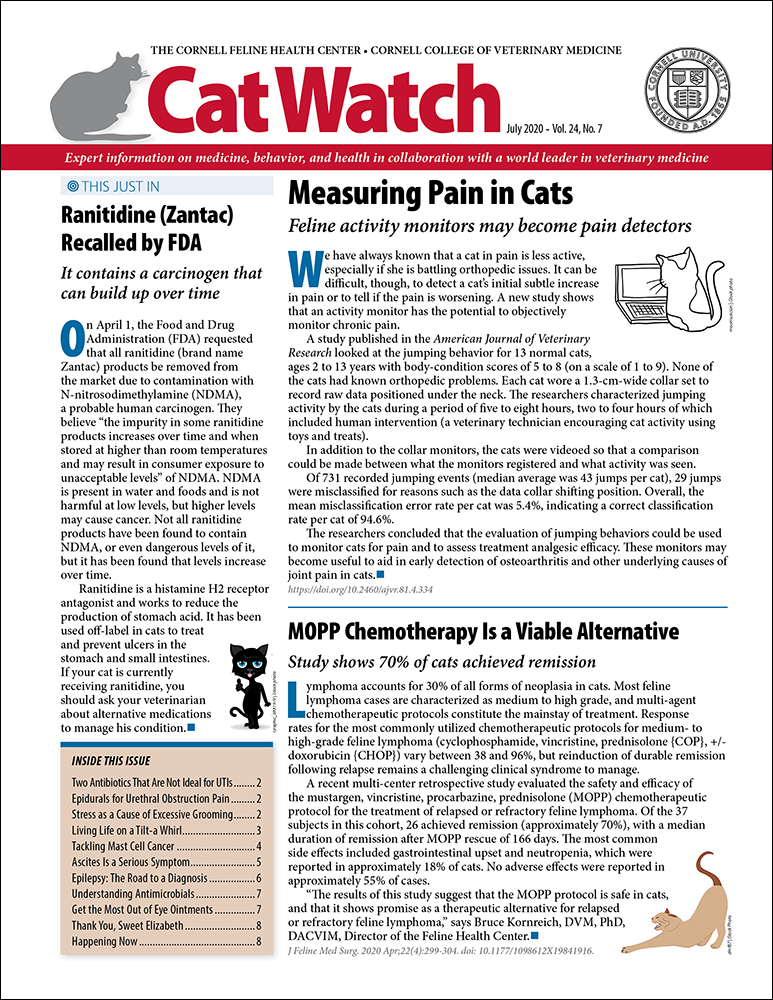 Catwatch July 01, 2020 Issue Cover