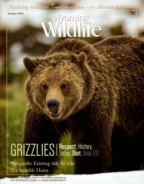 Wyoming-Wildlife January 01, 2014 Issue Cover