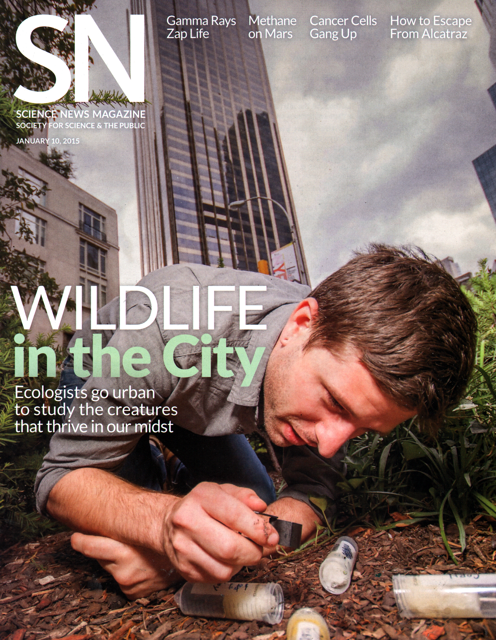 Science-News January 10, 2015 Issue Cover