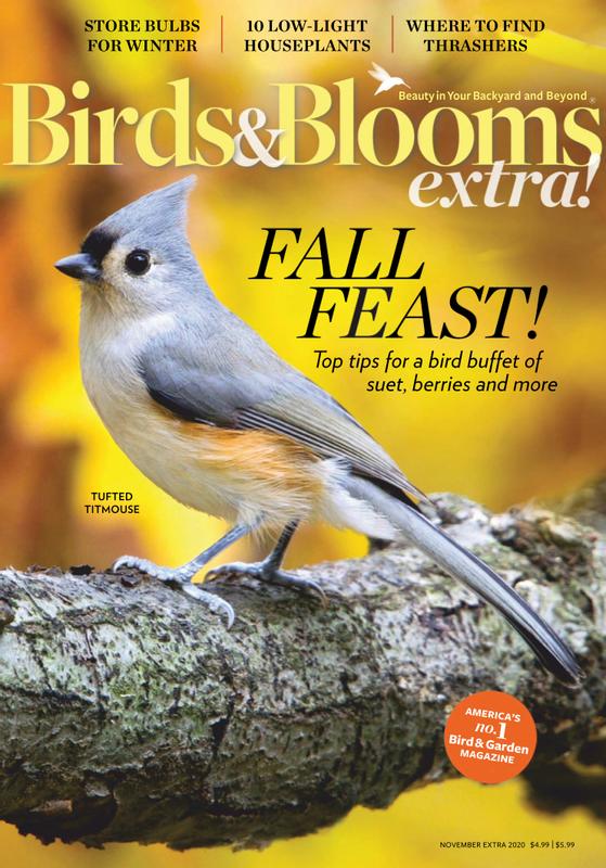 Birds-and-Blooms-Extra November 01, 2020 Issue Cover
