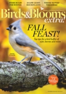 Birds-and-Blooms-Extra November 01, 2020 Issue Cover