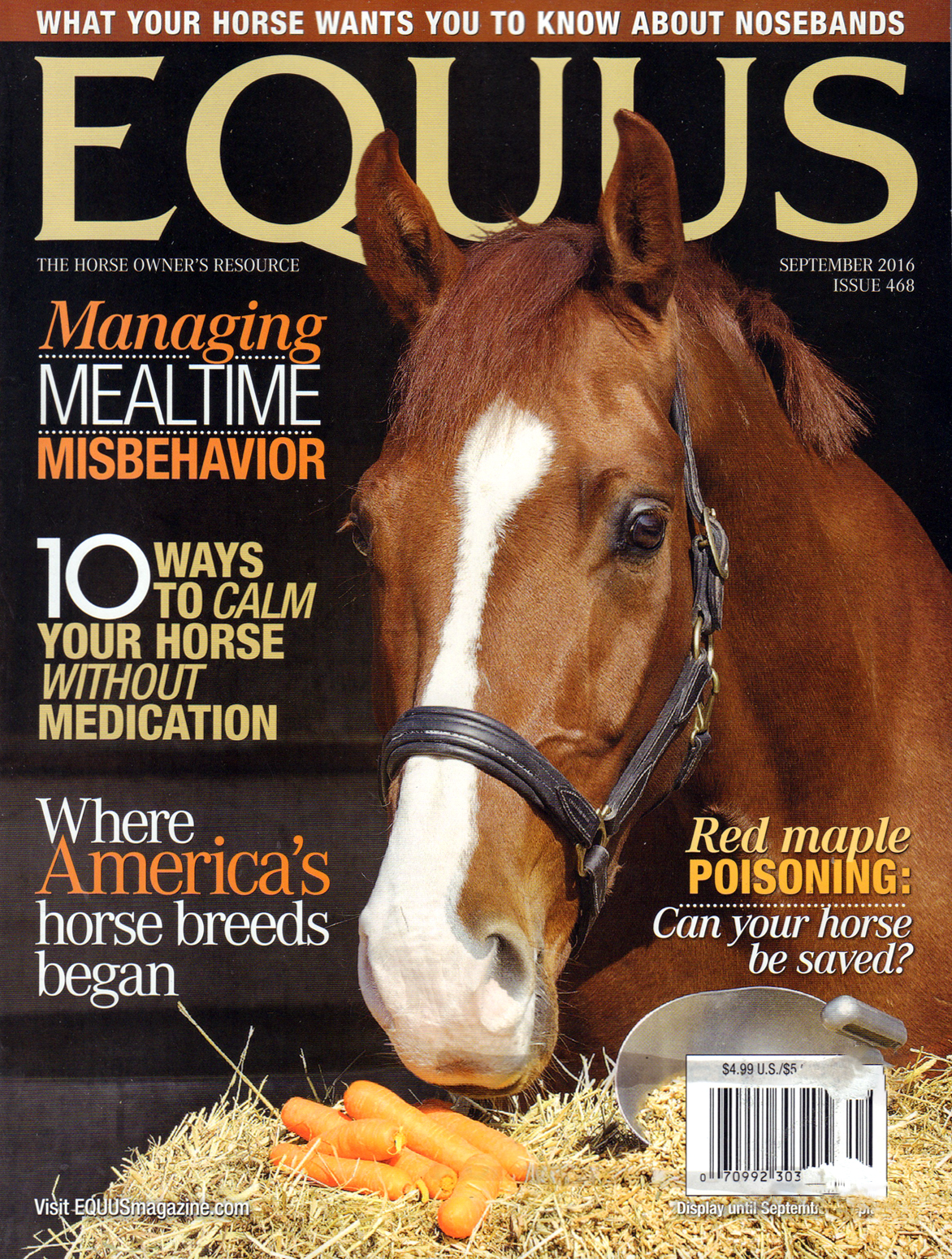 Equus September 01, 2016 Issue Cover