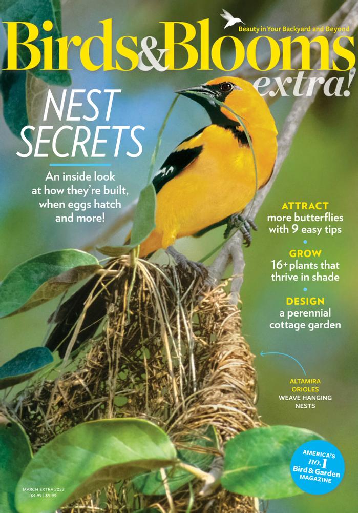 Birds Blooms Extra Subscription