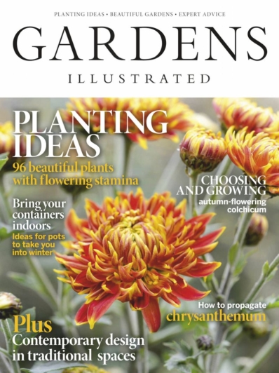 Gardens Illustrated November 01, 2019 Issue Cover