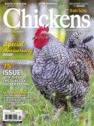 Chickens November 01, 2022 Issue Cover