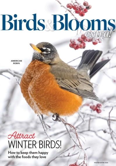 Birds & Blooms Extra January 01, 2026 Issue Cover