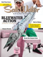 Salt-Water-Sportsman November 01, 2018 Issue Cover