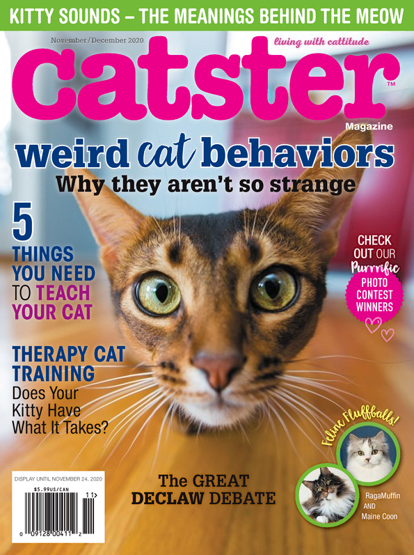 Catster November 01, 2020 Issue Cover