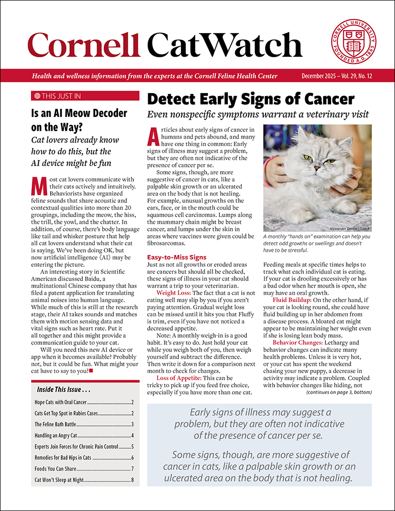 Catwatch December 01, 2025 Issue Cover