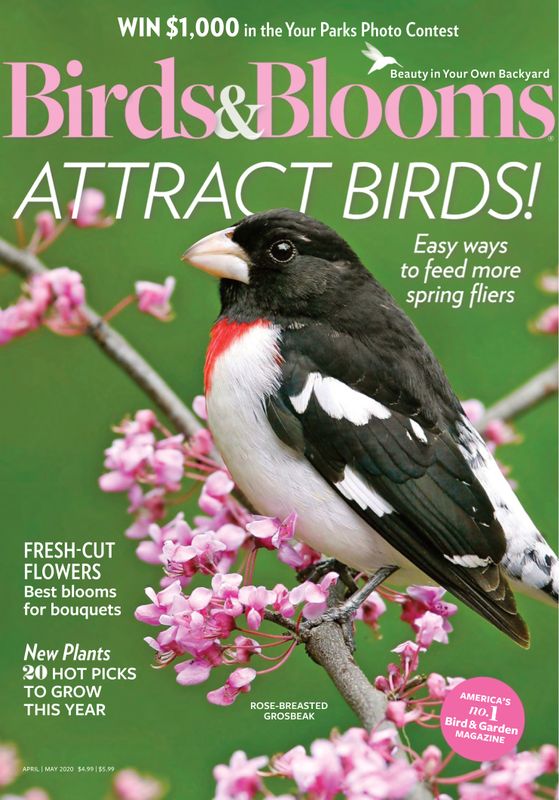 Birds-and-Blooms April 01, 2020 Issue Cover