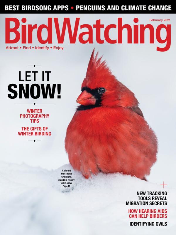 Bird-Watching February 01, 2021 Issue Cover