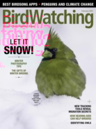 Bird-Watching February 01, 2021 Issue Cover