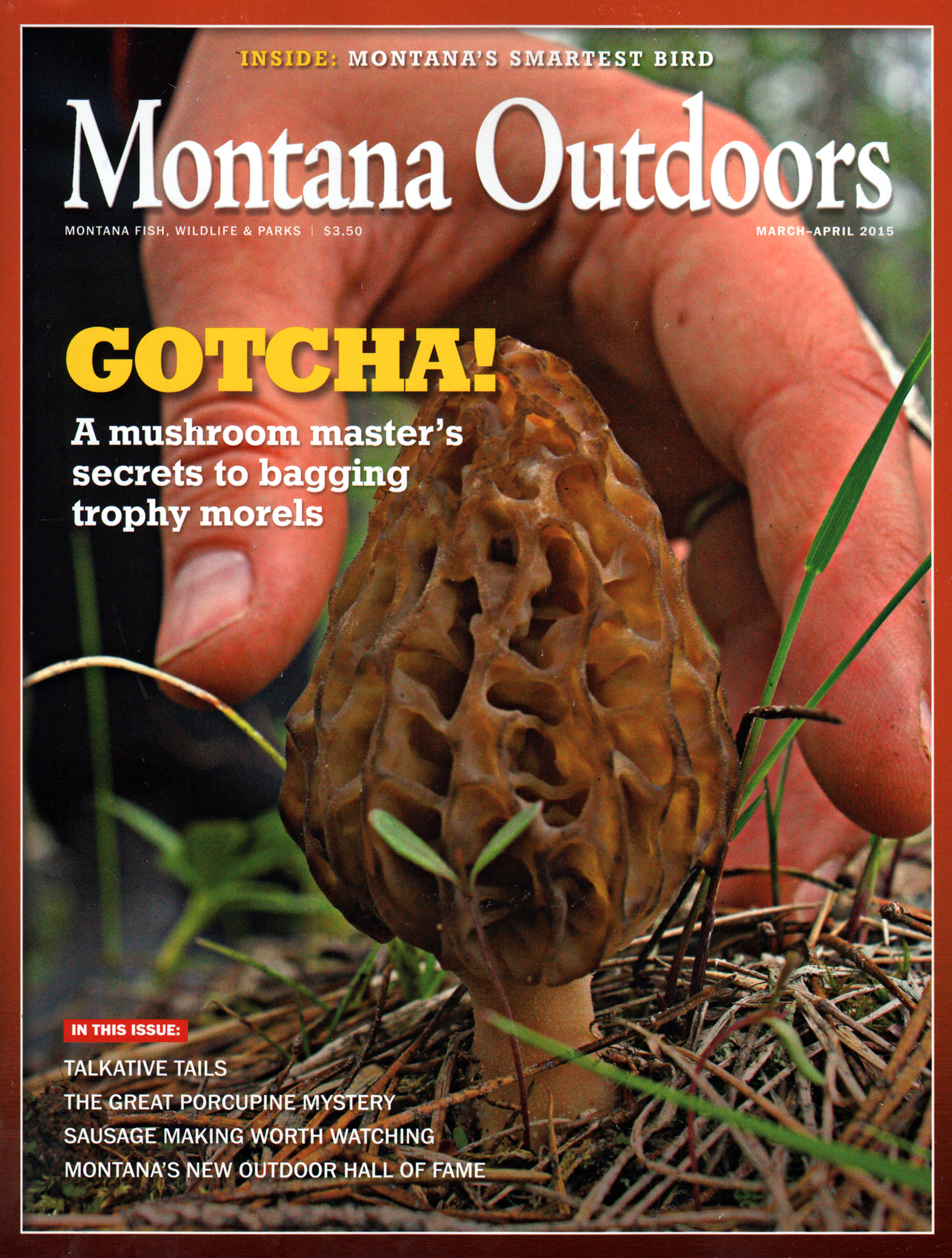 Montana-Outdoors March 01, 2015 Issue Cover
