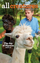All-Creatures November 01, 2021 Issue Cover