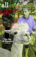 All-Creatures November 01, 2021 Issue Cover