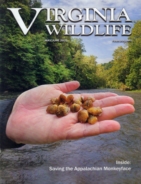 Virginia-Wildlife May 01, 2023 Issue Cover