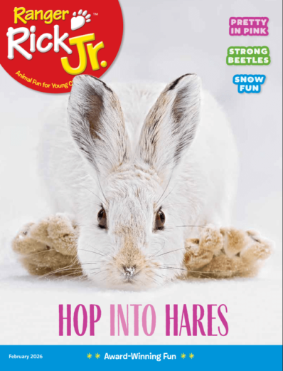 Ranger Rick Jr. February 01, 2026 Issue Cover