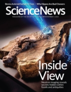 Science-News November 04, 2023 Issue Cover